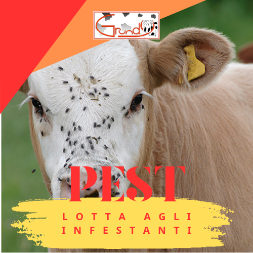 Lotta agli Infestanti